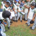 Carmel High School Basaveshwar nagar Biopark Universit 11