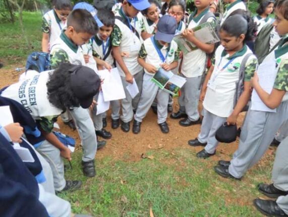 Carmel High School Basaveshwar nagar Biopark Universit 11