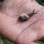 Carmel High School Basaveshwar nagar Biopark University 4