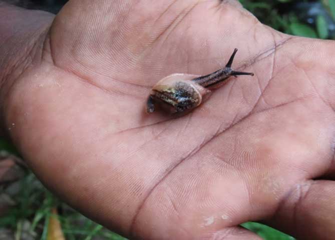 Carmel High School Basaveshwar nagar Biopark University 4