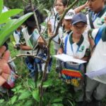 Carmel High School Basaveshwar nagar Biopark University 5