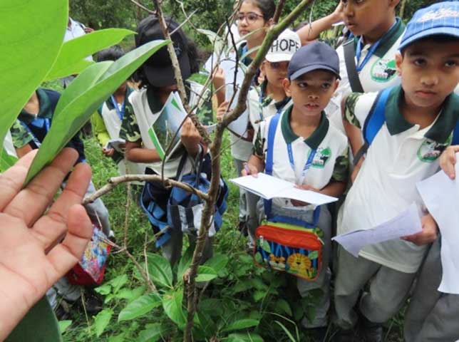 Carmel High School Basaveshwar nagar Biopark University 5