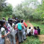 Carmel High School Basaveshwar nagar Biopark University 7