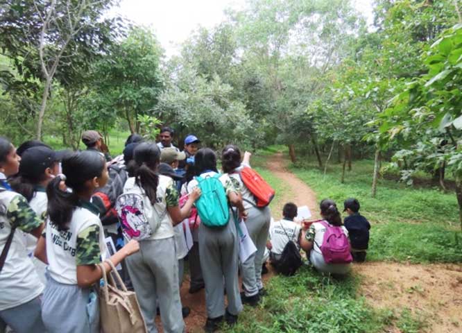 Carmel High School Basaveshwar nagar Biopark University 7