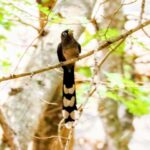 Ebenizer International school at Bannerghatta Biological park 10