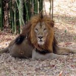 Ebenizer International school at Bannerghatta Biological park 14