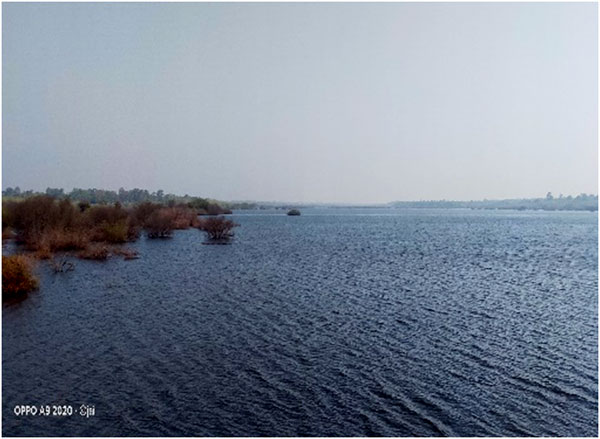 Field day out Trio World school 1