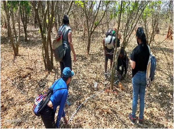 Field day out Trio World school 16