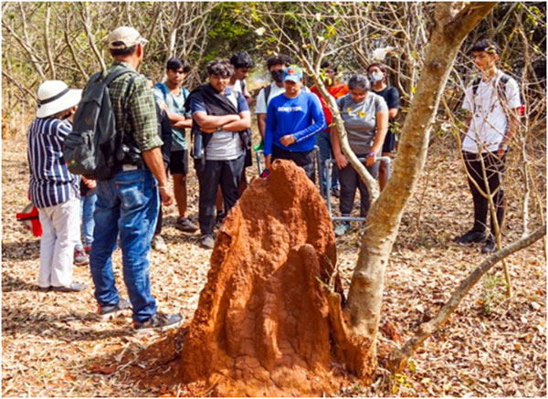 Field day out Trio World school 4