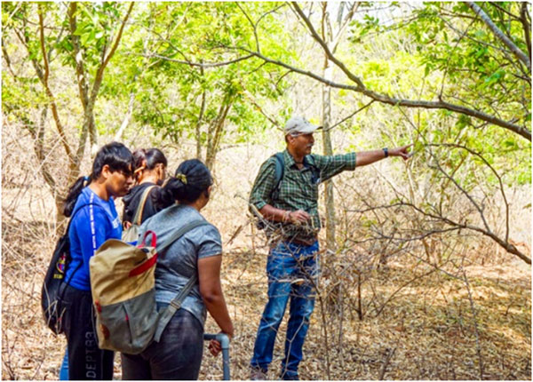 Field day out Trio World school 7