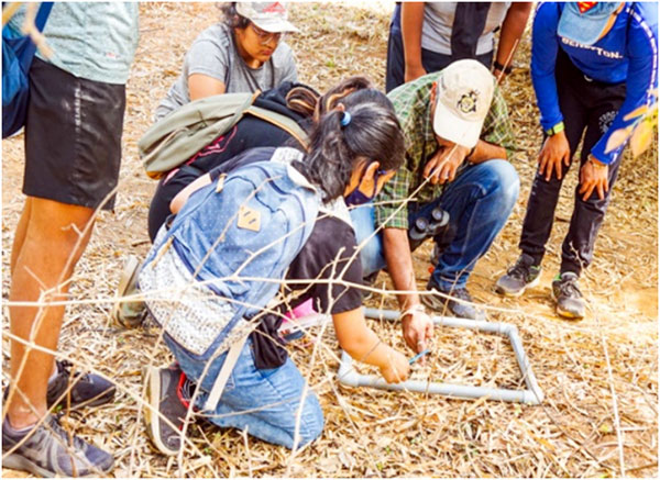 Field day out Trio World school 8