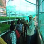 G56 of NPS Kudlu at Organic farm and garden at Hosur Tamil Nadu 11