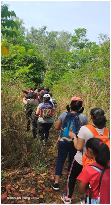 JB Kawal tree park 10