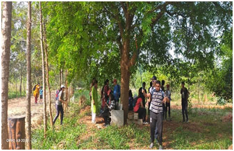 JB Kawal tree park 14