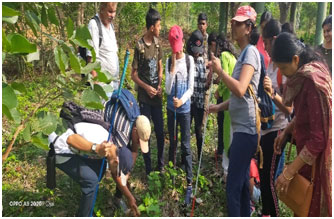 JB Kawal tree park 4