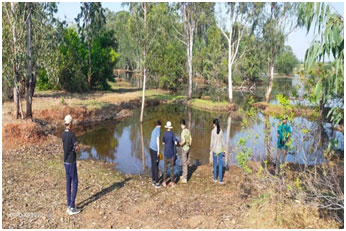 Jayamangali Blackbuck sanctuary 7