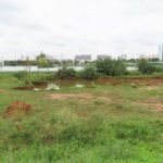 Lake study trip DPS East Nature club to Mullur lake 3