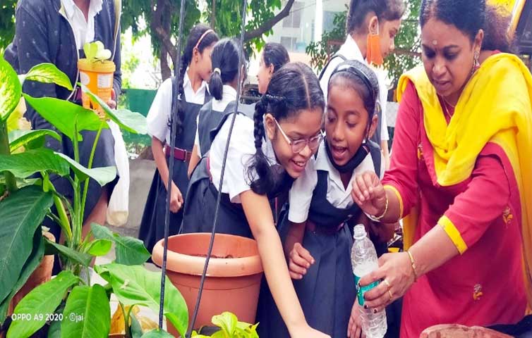 Lawrence magazine report 11