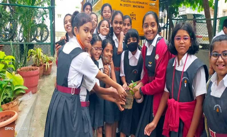 Lawrence magazine report 12