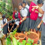 Lawrence magazine report 13