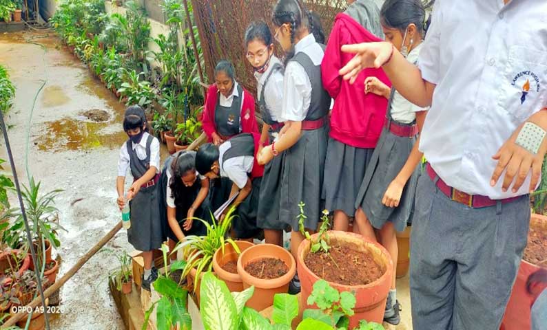 Lawrence magazine report 13