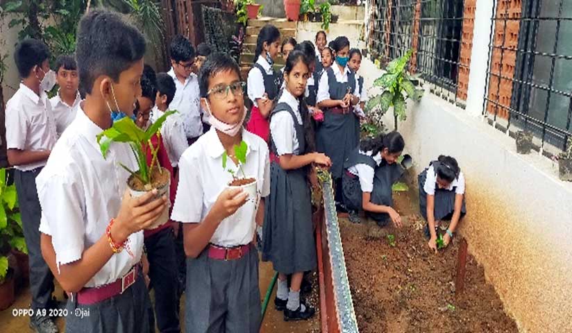 Lawrence magazine report 14