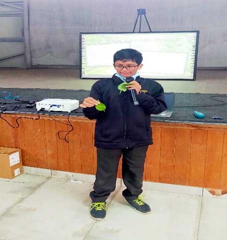 Lawrence magazine report 19