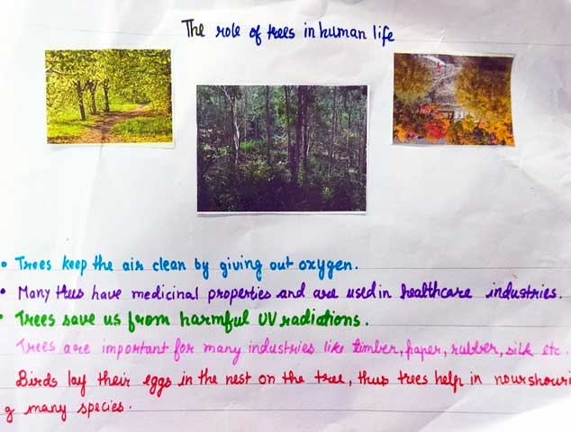 Lawrence magazine report 25