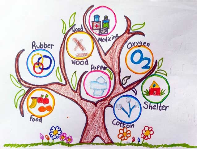 Lawrence magazine report 27