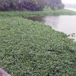 Lawrence magazine report 28