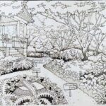 Lawrence magazine report 5