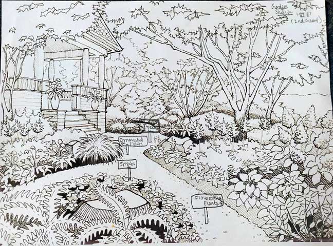 Lawrence magazine report 5