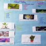 Lawrence magazine report 6