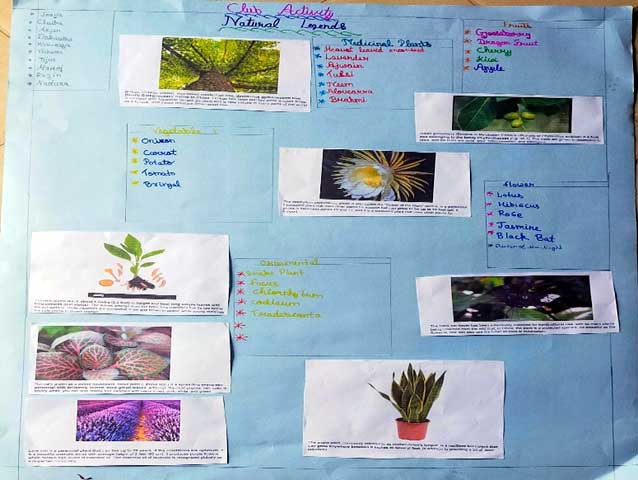 Lawrence magazine report 6