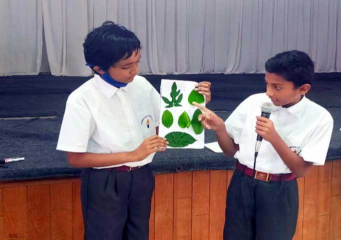 Lawrence magazine report 9