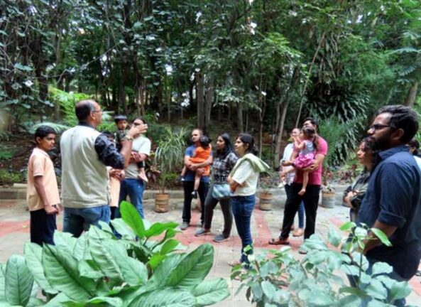 Plantation Nature walk Pre primary students parents NHVPS RR nagar branch 8 1