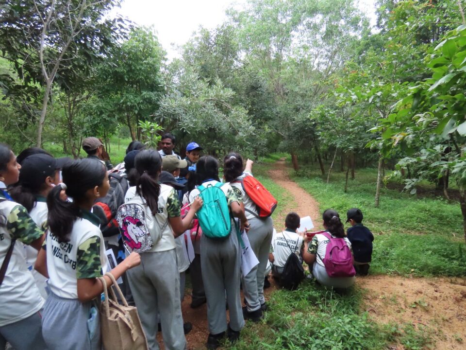 Programs for Institutions 1