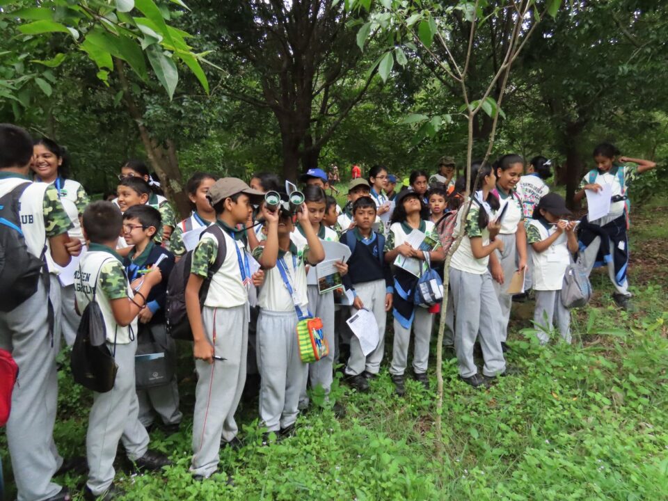 Programs for Institutions 2