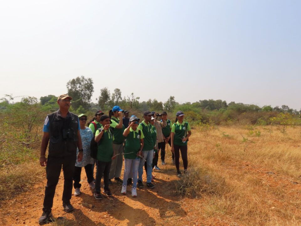 Programs for Institutions 5