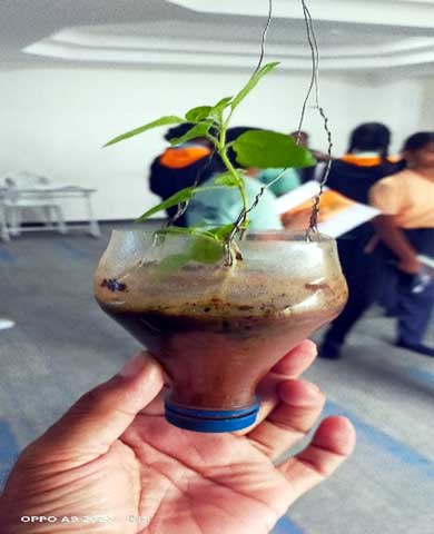 field visit to Toyota Eco zone 4