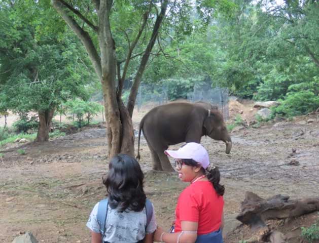 nature study camp for G7 students of NPS Kudlu branch at Bannerghatta Biological park 6
