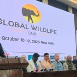 Global Wildlife Fair 2025 8
