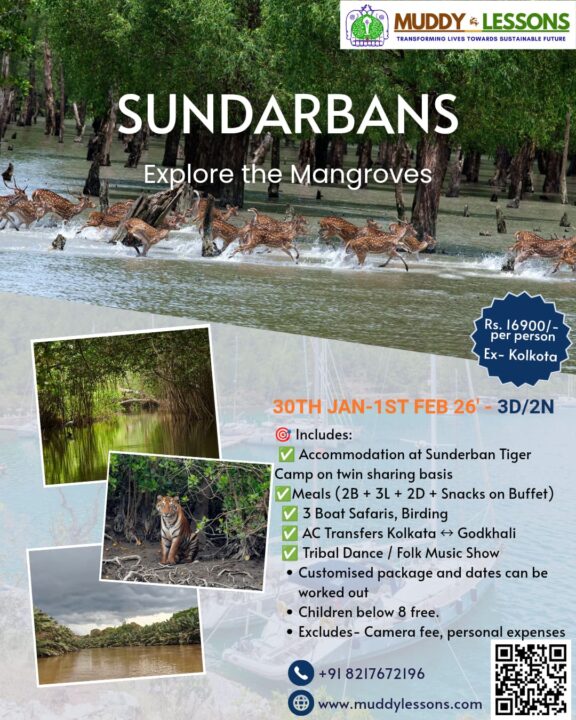 Sundarbans tour