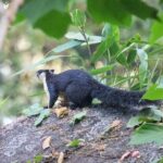 Sustainable community-led winter journey in the Eastern Himalayas with nature learning and birding experiences