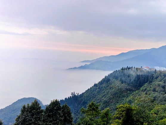 Sustainable community-led winter journey in the Eastern Himalayas with nature learning and birding experiences