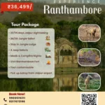 upcoming tours 2026 2