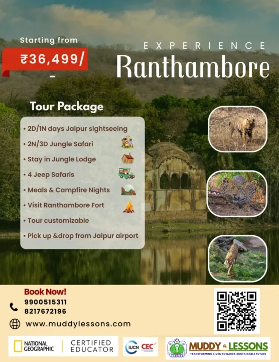 upcoming tours 2026 2