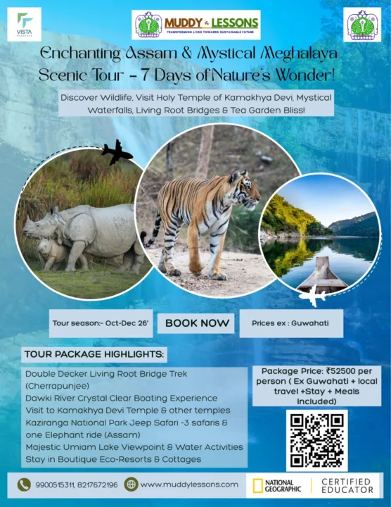upcoming tours 2026 3