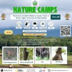 nature camps oct26